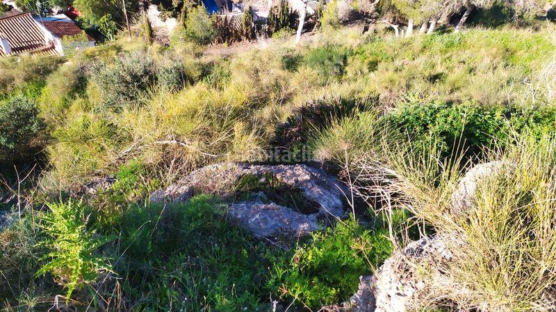 Foto e4c67944-733a-4245-bd91-c242e8647f39. Landgut in avenida de las palmeras 66 in Avda Pescia - Ctra de Frigiliana Nerja