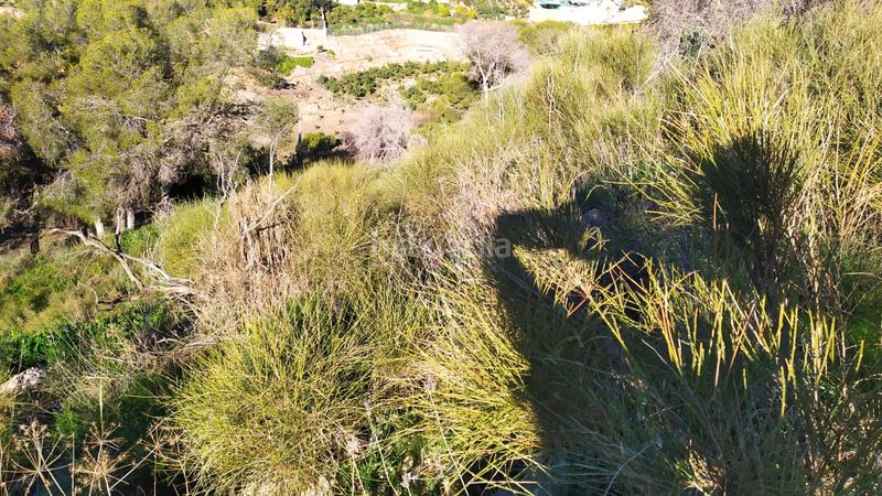Foto ed5868a7-eae2-4af4-ba3b-d1e28afb714c. Landgut in avenida de las palmeras 66 in Avda Pescia - Ctra de Frigiliana Nerja