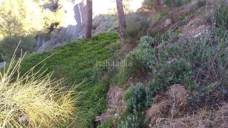 Foto fcf2bf73-1185-4741-951b-dd96c91985e7. Landgut in avenida de las palmeras 66 in Avda Pescia - Ctra de Frigiliana Nerja