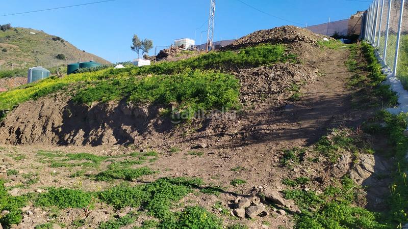 Foto 2fa8c0c4-1feb-4132-a3e8-ad0473e48486. Finca rústica a diseminado el pago morche 2257 a Torrox