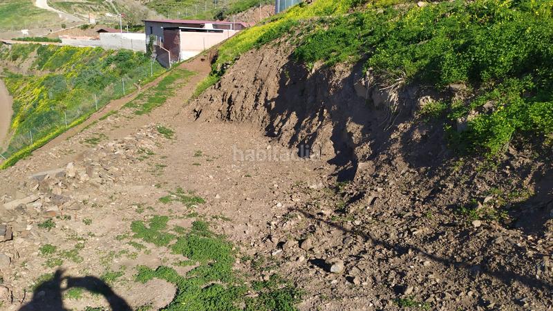 Foto 7af8de72-e17c-4531-8d07-b1c2a6cb70dd. Finca rústica a diseminado el pago morche 2257 a Torrox