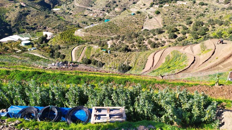 Foto d30244bf-8a4d-4bf3-80e9-8c0590039e3f. Finca rústica a diseminado el pago morche 2257 a Torrox