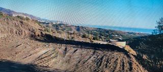 Finca rústica a Camino de frigiliana 81. Terreno en venta torrox con 2483 m2 para apero de 24 m2