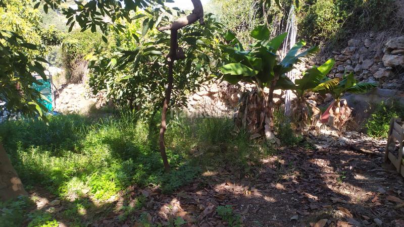 Foto 88f8c982-20a5-4081-b9a7-edd633d6205d. Fondo rustico in paraje almachares 15 in Frigiliana