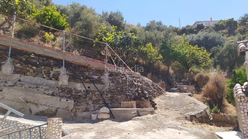 Foto 1e032c22-2e2e-4c75-8a81-b8786afcb8e9. Mas dans diseminado pago carrasco 3051 dans Torrox pueblo Torrox