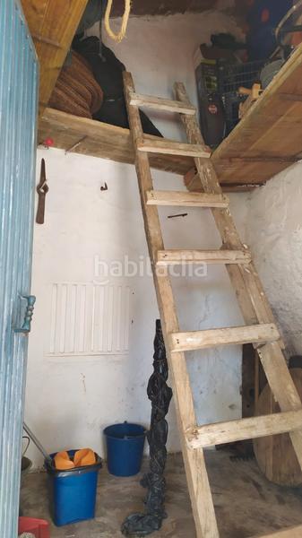 Foto 2091bd56-397a-482d-8ee8-d455f60e454a. Mas dans diseminado pago carrasco 3051 dans Torrox pueblo Torrox