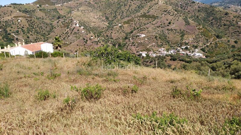 Foto 214fcc12-1933-4c4c-8e1e-a176ba53d6a1. Mas dans diseminado pago carrasco 3051 dans Torrox pueblo Torrox