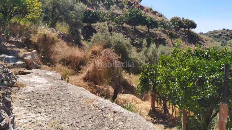 Foto 7b9ed74a-c825-46c8-99d2-c016febf7406. Mas dans diseminado pago carrasco 3051 dans Torrox pueblo Torrox