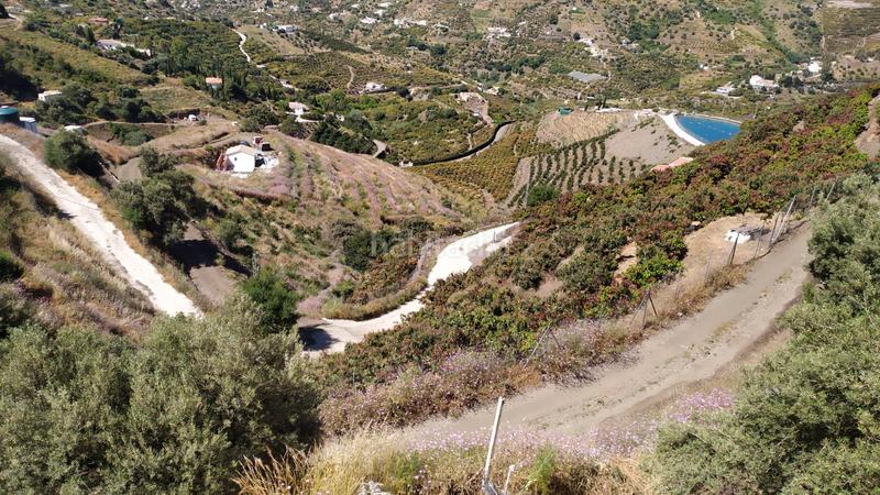 Foto 8642ea73-d379-4f2c-b9d9-9977c13d154f. Mas dans diseminado pago carrasco 3051 dans Torrox pueblo Torrox