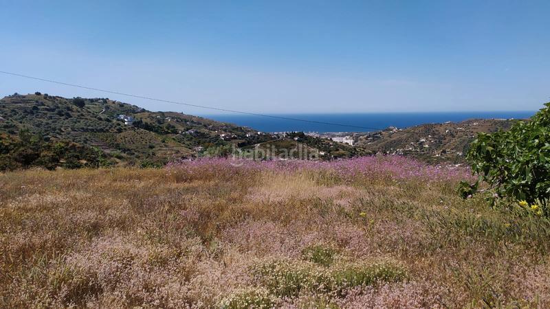 Foto c1fb183b-7f21-4979-9bc3-93b6a4177632. Mas dans diseminado pago carrasco 3051 dans Torrox pueblo Torrox