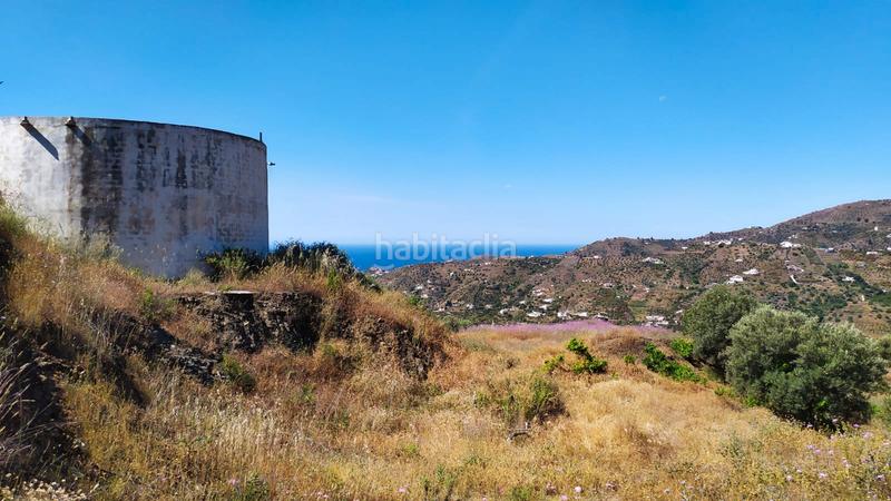 Foto e64fc159-324c-452c-a871-c2b67f4a97f3. Mas dans diseminado pago carrasco 3051 dans Torrox pueblo Torrox