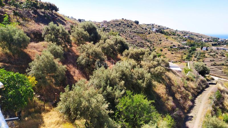 Foto e65b0fe6-b2ff-42af-a36c-1cc73a7614a5. Mas dans diseminado pago carrasco 3051 dans Torrox pueblo Torrox