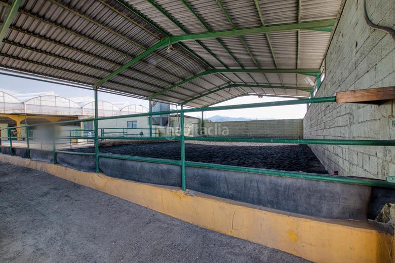 Foto 39499d9c-9413-49cc-9996-eea3150fe71e. Finca rústica a calle doctor fleming 44 a Centro Torre del Mar