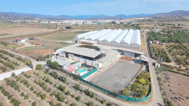 Foto 431cf599-5670-47c0-a4a2-29e3162666e6. Finca rústica a calle doctor fleming 44 a Centro Torre del Mar