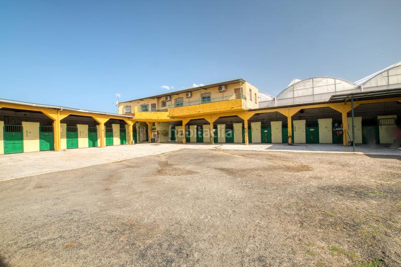 Foto 68798531-fd33-400f-b25f-e64126bb9f33. Finca rústica a calle doctor fleming 44 a Centro Torre del Mar