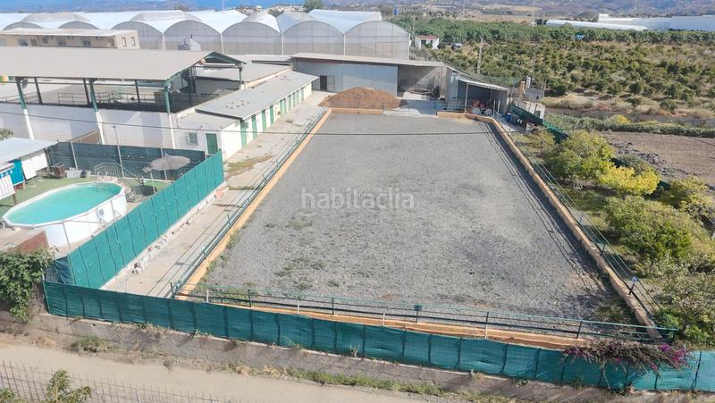 Foto fed7fac3-7635-44f8-884a-b0ec727734ea. Finca rústica a calle doctor fleming 44 a Centro Torre del Mar