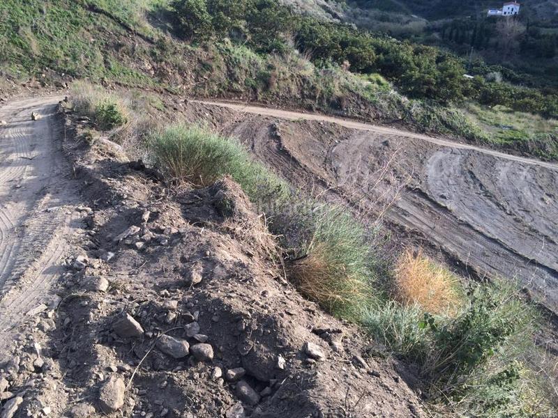 Foto 475662f9-ab6c-40a4-860c-e0f74c272929. Fondo rustico in diseminado diseminados 106 in Frigiliana