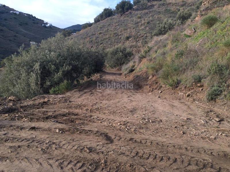 Foto b3bba60c-b87c-477e-a457-45edf7544b12. Fondo rustico in diseminado diseminados 106 in Frigiliana