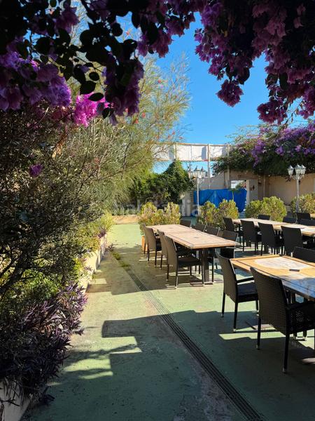 Foto ab804479-dfc2-4262-9202-7026dadaeecf. Miete geschäftsraum in plaza balcón de europa 2 in Nerja