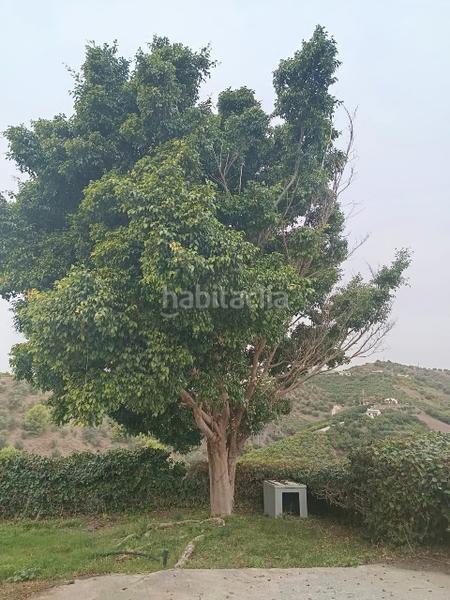 Foto ea5feb22-34a0-4bc3-8728-486182f84b92. Miete bauernhof in calle de la molineta 25 in Frigiliana