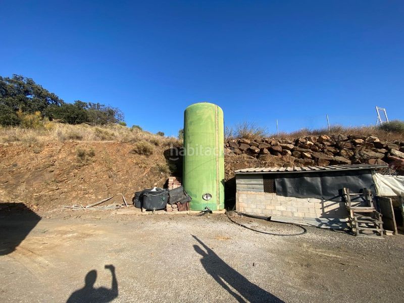 Foto 193674d7-f2f2-4624-a5f9-6cd64e356a9a. Finca rústica a carretera vélez-málaga 1d a Norte - Barrio del Pilar - El Reñidero Vélez - Málaga