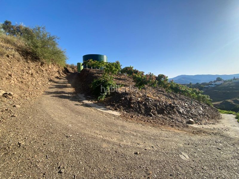 Foto 65212e43-4e95-4257-bce3-9338dbe432e4. Finca rústica a carretera vélez-málaga 1d a Norte - Barrio del Pilar - El Reñidero Vélez - Málaga
