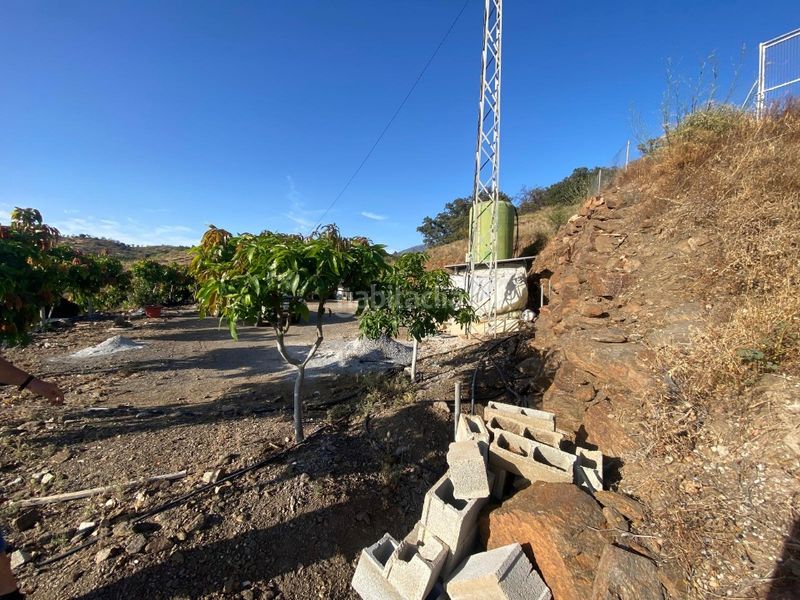 Foto a126c391-2d6a-4325-9bc2-1edc16761697. Finca rústica a carretera vélez-málaga 1d a Norte - Barrio del Pilar - El Reñidero Vélez - Málaga