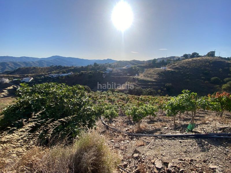 Foto fd249a9b-308c-40b1-ab47-954fbd94933a. Finca rústica a carretera vélez-málaga 1d a Norte - Barrio del Pilar - El Reñidero Vélez - Málaga