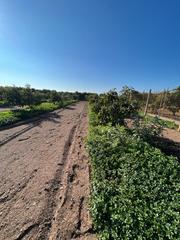 Landgut  Calle antonio ferrandis chanquete. Parcela en venta nerja con 2100 m2 playa