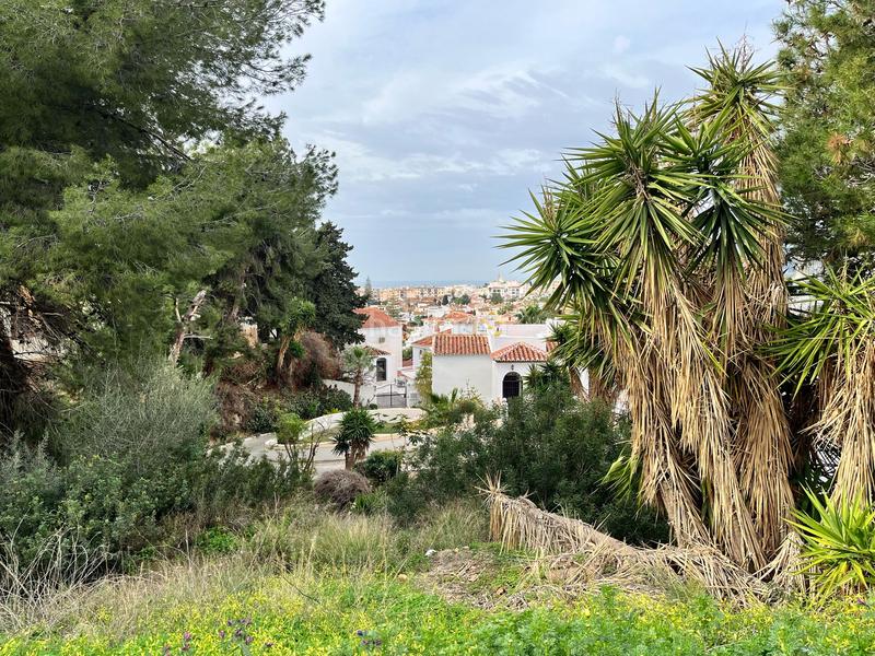 Foto 62873bbb-4a7f-42ea-8c9c-a3a329aa6610. Terreno residenziale in Burriana Nerja