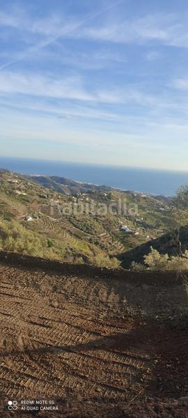 Foto 6113a5f9-75eb-4f04-ab89-d55b231a05d0. Finca rústica parcela en venta en Sayalonga