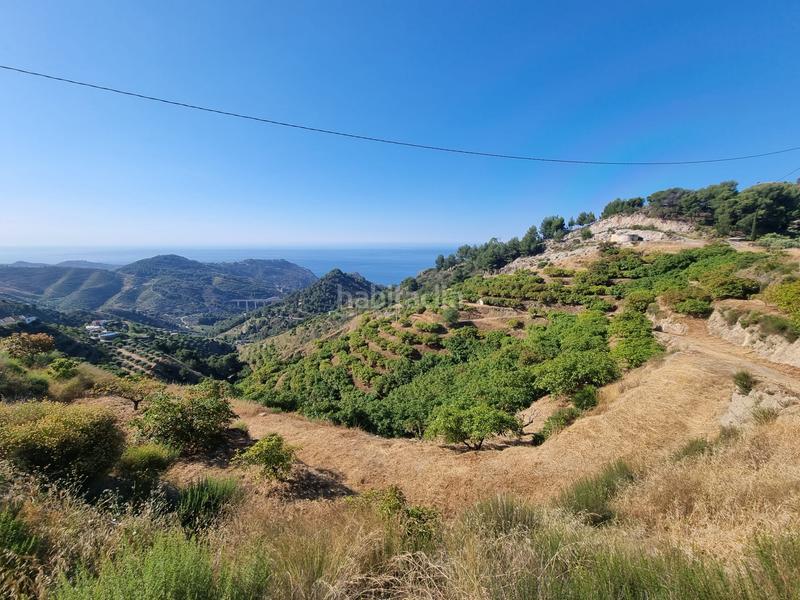 Foto e9de2d8e-f89f-40d0-b0fb-0799513c7d89. Finca rústica en n/a terreno en venta con 40.000 m2 y 1.000 arboles frutales en Nerja