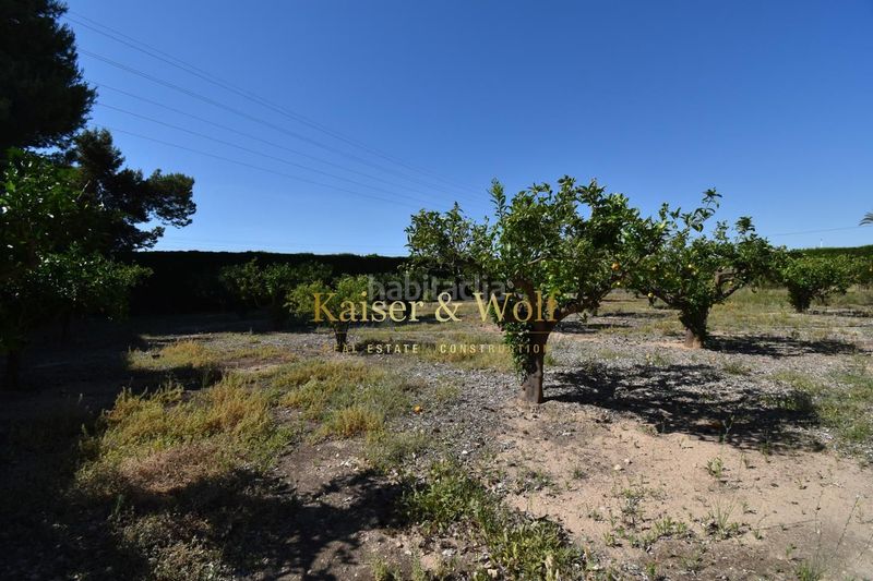 Foto 32cdd44d-0689-433c-98b3-7d6452cb0045. Casa amb piscina a Jubalcoi Elche / Elx