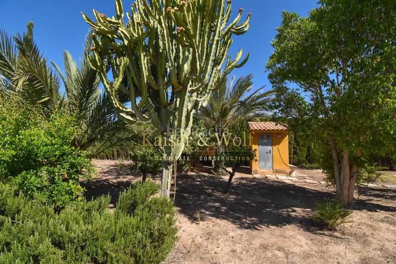 Foto 6c3a6566-8549-46c8-bb6b-7da1e0fe5456. Casa amb piscina a Jubalcoi Elche / Elx