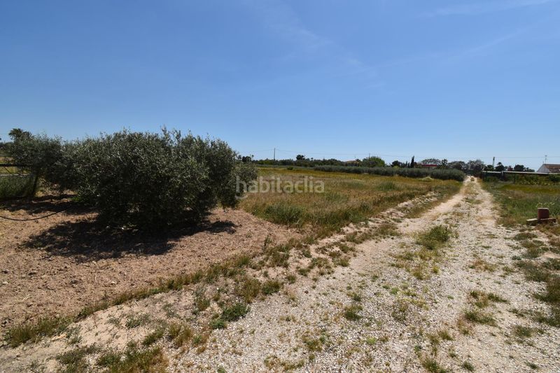 Foto de3e45a5-b209-45ff-8b73-34c92db74d89. Casa amb aparcament a La Algoda - Matola - Llano de San José Elche / Elx