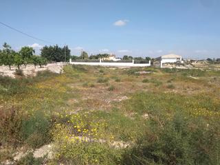 Terreny residencial  Partida saladas. Terreno rústicos en zona residencial matola
