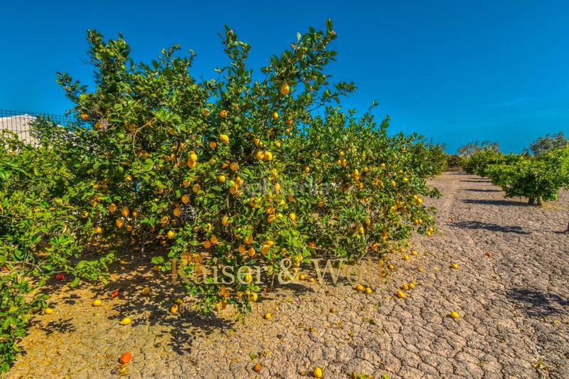 Foto 143d7a10-5357-49e6-b2a9-e382eb2f5bf0. Residential plot in Callosa de Segura