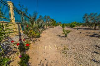 Terrain résidentiel  La almuina. Terreno a la venta en callosa de segura