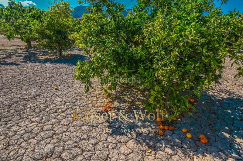 Foto 5214b2da-1db2-44a2-b02f-74025225b03a. Residential plot in Callosa de Segura