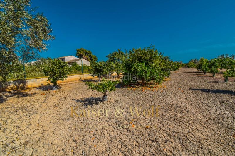 Foto c67ed812-45a3-40df-ace2-f1db82c95329. Residential plot in Callosa de Segura