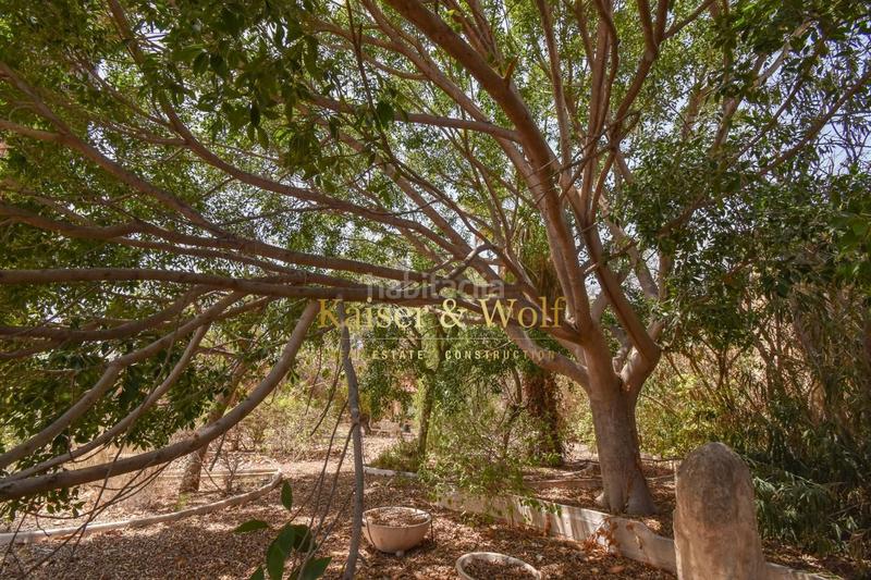 Foto 4831e9d9-a874-417c-b525-68e7f93e0b86. Casa con parcheggio piscina in Crevillente