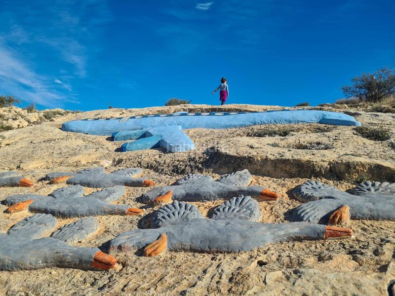 Foto 286ad1ff-0e18-499c-8146-4495986a9483. Terreno residencial terreno rústico en venta carrus elche en Elche / Elx