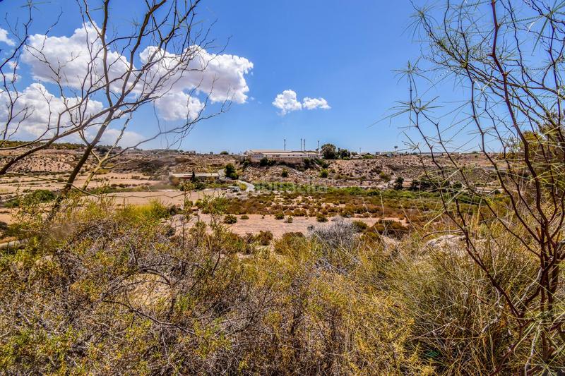 Foto 373e5817-c779-403f-8e17-f71b3156b3ec. Terreno residencial terreno rústico en venta carrus elche en Elche / Elx