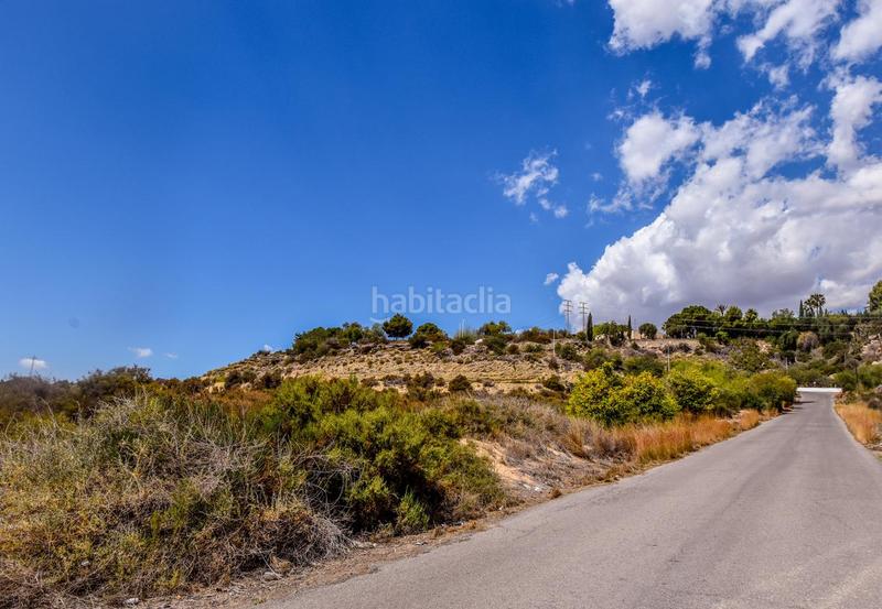 Foto 6fd25998-680b-4e30-81a2-098fed211687. Terreno residencial terreno rústico en venta carrus elche en Elche / Elx