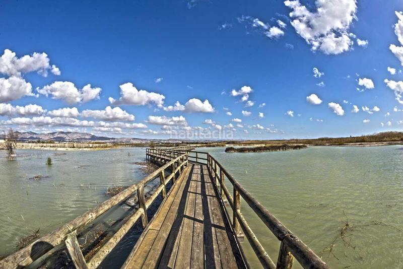 Foto 72e70c1f-9926-4bde-9407-a68be8c796e9. Terreno residencial terreno rústico en venta carrus elche en Elche / Elx