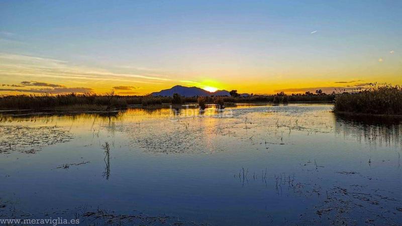 Foto 7553f902-b50d-4f28-b99d-960cb7e780f6. Terreno residencial terreno rústico en venta carrus elche en Elche / Elx