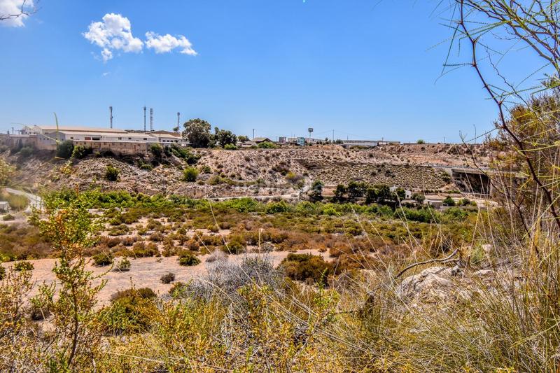 Foto 86932df8-2799-47e6-a0ac-4a005c78257f. Terreno residencial terreno rústico en venta carrus elche en Elche / Elx