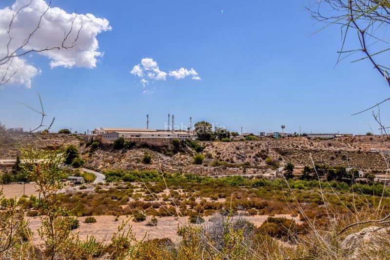 Foto 8ba31f7c-a77e-45e8-a0a7-d5dcad3a9079. Terreno residencial terreno rústico en venta carrus elche en Elche / Elx