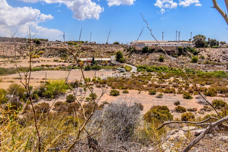 Foto cc752f52-e251-49b7-b599-5a4dfe3087a4. Terreno residencial terreno rústico en venta carrus elche en Elche / Elx