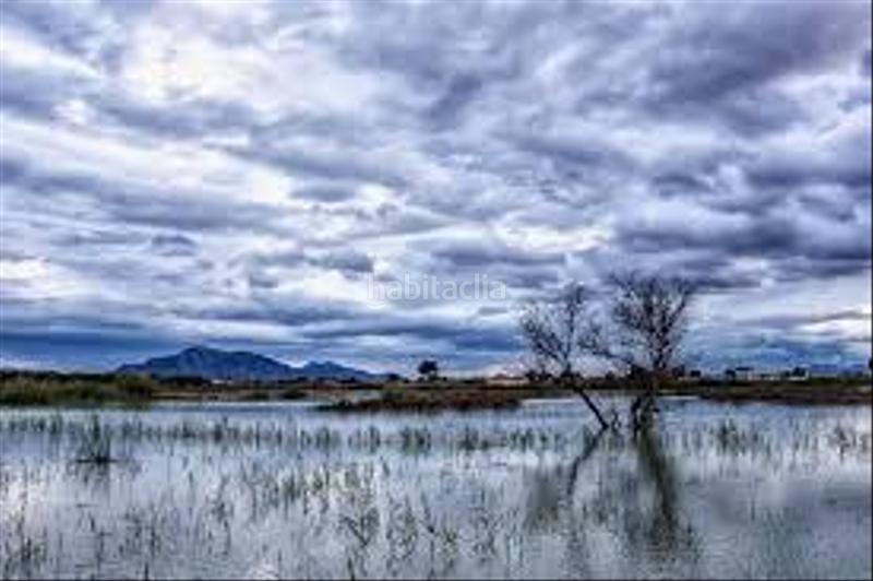 Foto f43481e2-1e94-4490-9990-6e98337c9354. Terreno residencial terreno rústico en venta carrus elche en Elche / Elx